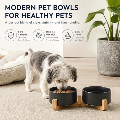 Petygooing ceramic pet bowl set - color options