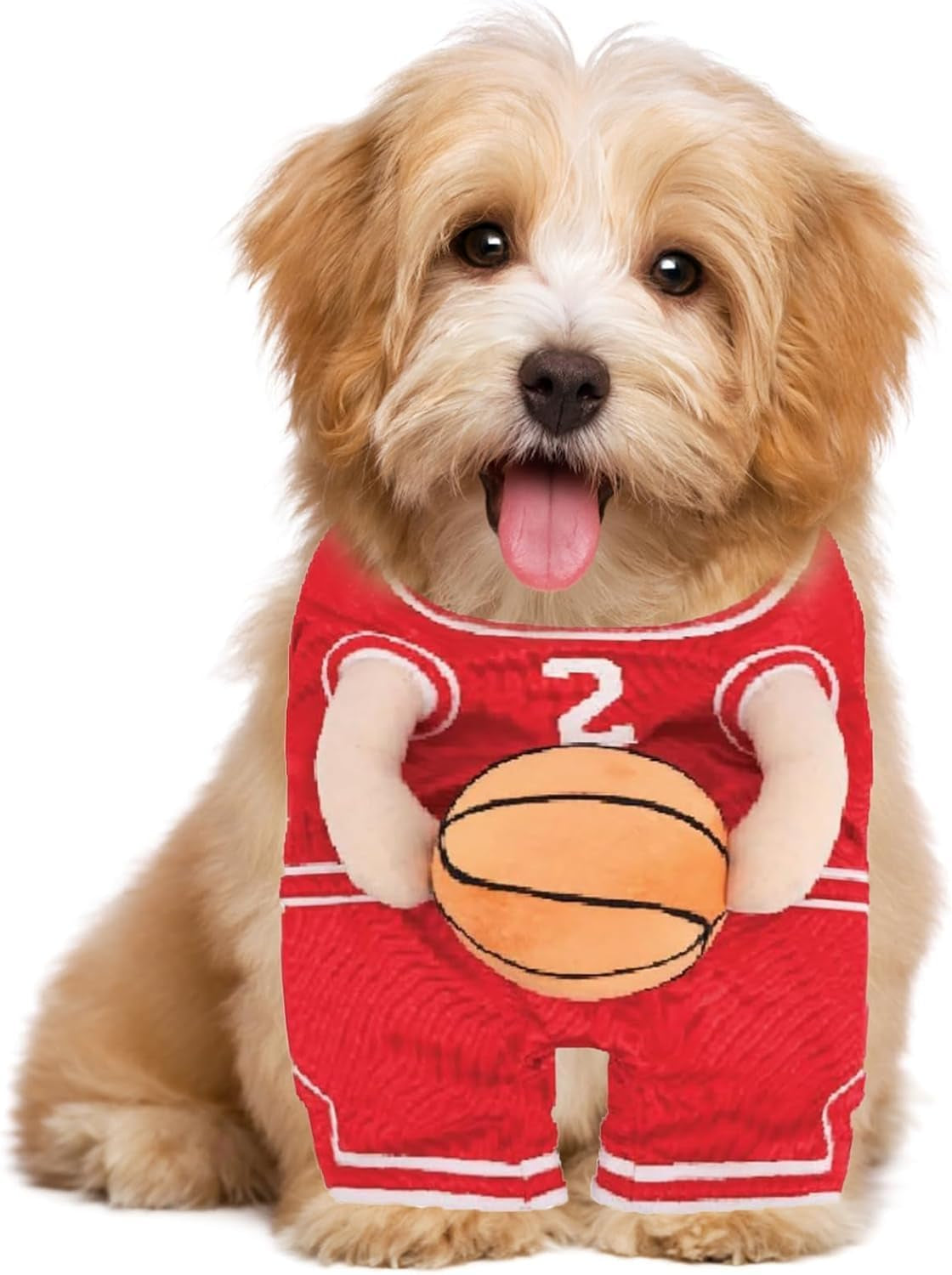 Dog Basketball Costume with Ball