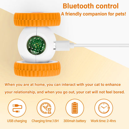 Remote Control Cat Toy, Hunting Mouse Hands-Free Play
