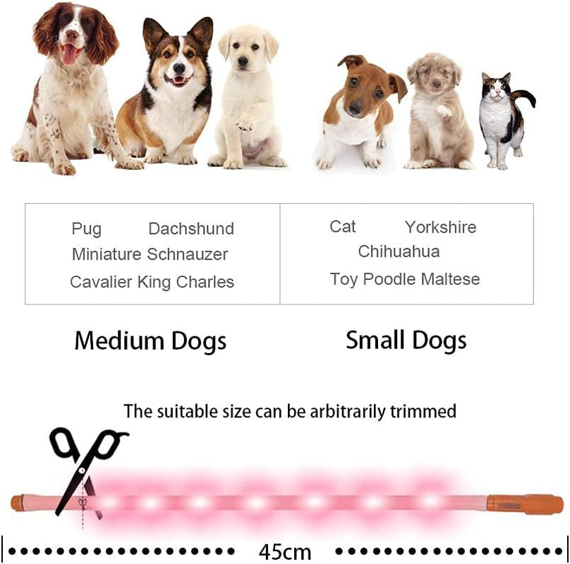 LED Light-Up Dog Collar, USB Rechargeable, 3 Flash Modes