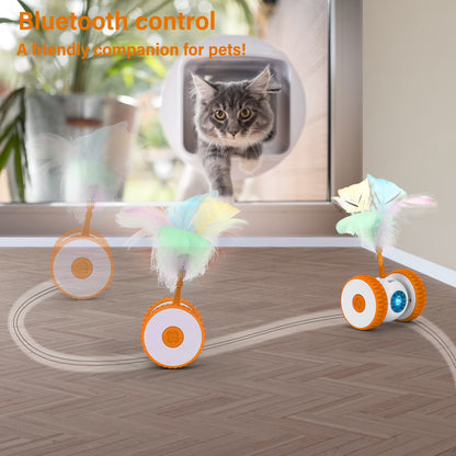 Remote Control Cat Toy, Hunting Mouse Hands-Free Play