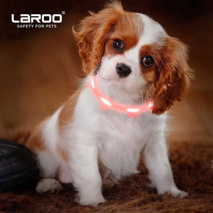LED Light-Up Dog Collar, USB Rechargeable, 3 Flash Modes