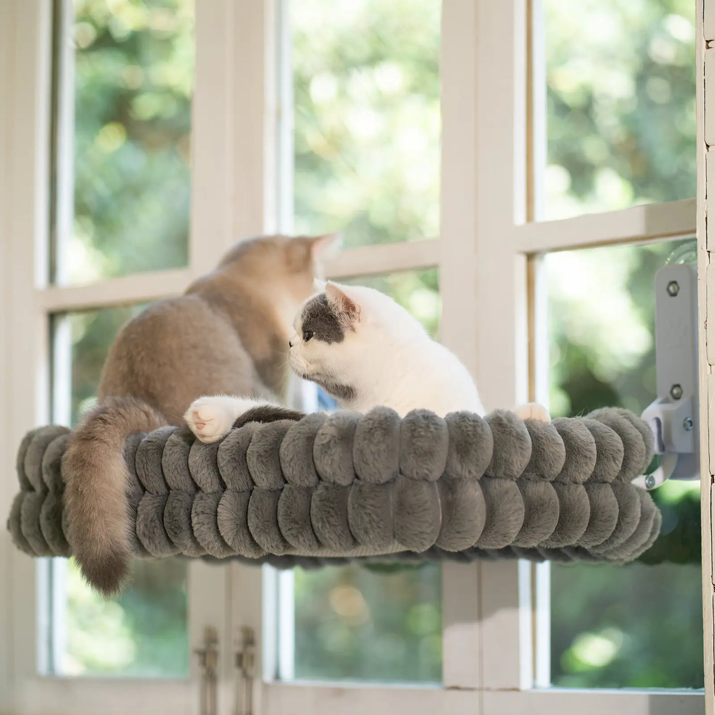 Cozy Up with Our Folding Cat Hammock for Windows - Cordless, Machine Washable, and Sturdy Design for Cats and Small Dogs!