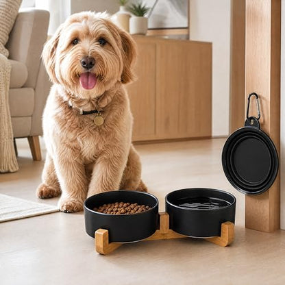 Petygooing ceramic pet bowl set - lifestyle