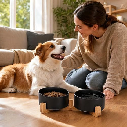 Petygooing ceramic pet bowl set - side view