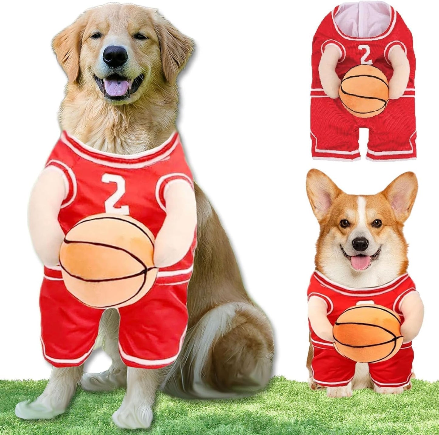 Dog Basketball Costume with Ball
