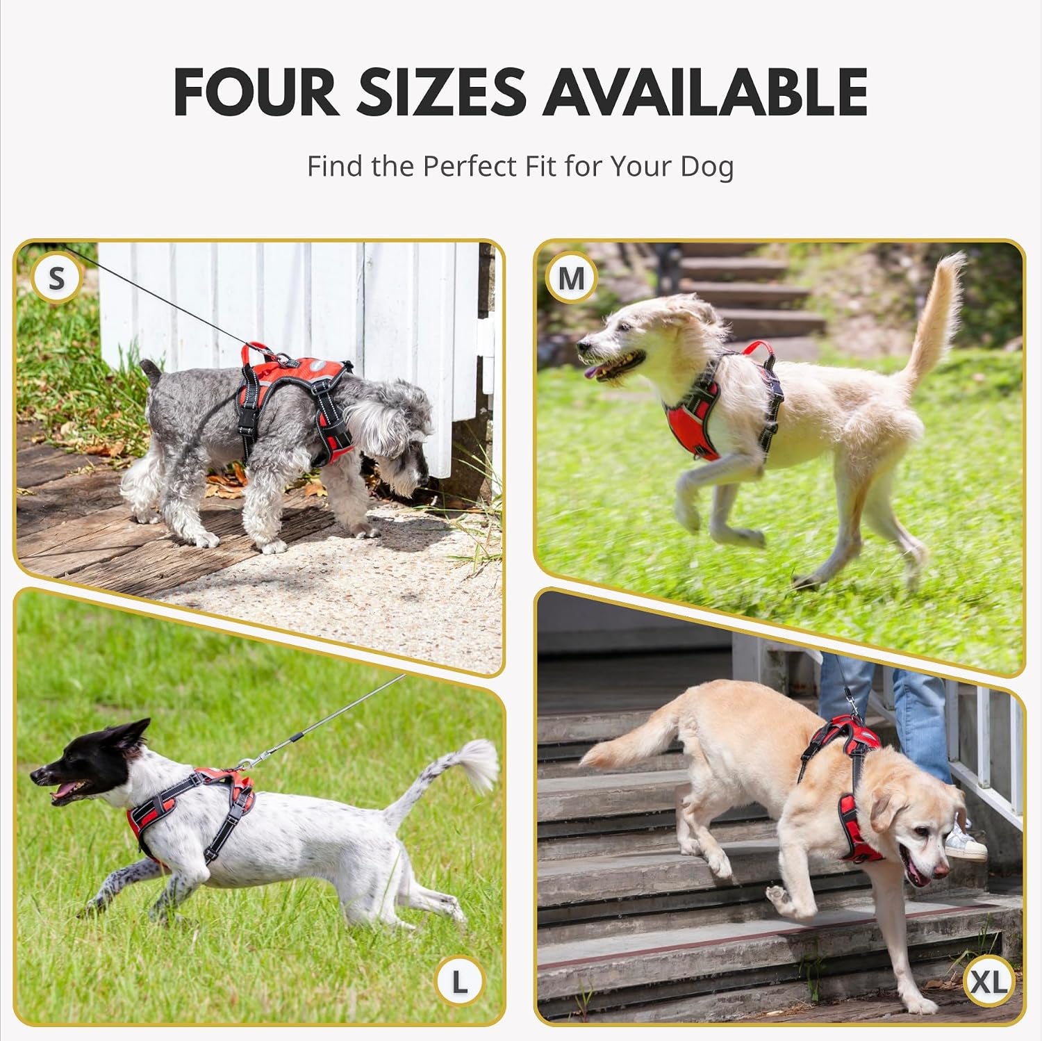 No-Pull Dog Harness with Handle, Reflective & Adjustable