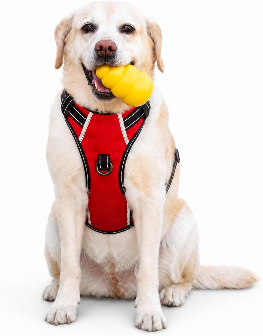 No-Pull Dog Harness with Handle, Reflective & Adjustable