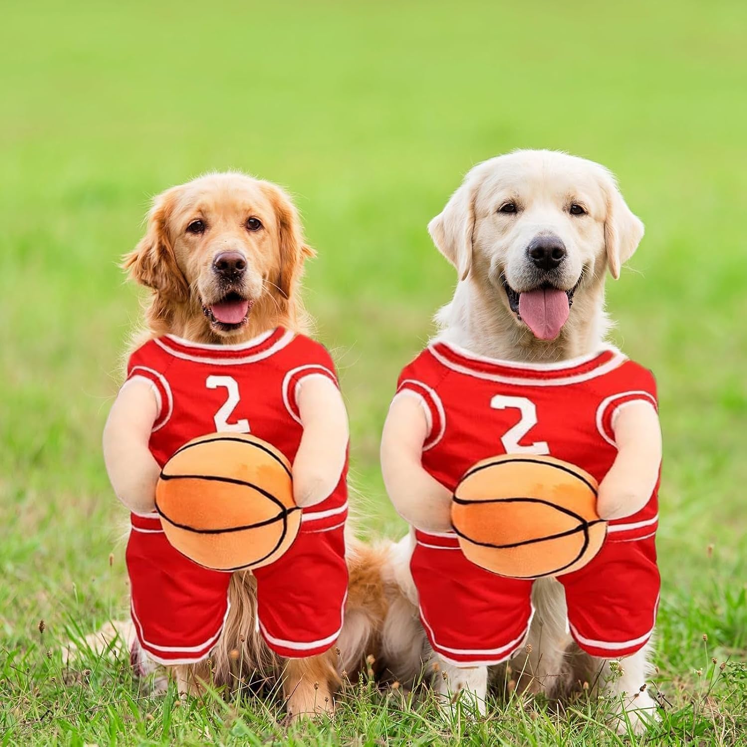 Dog Basketball Costume with Ball