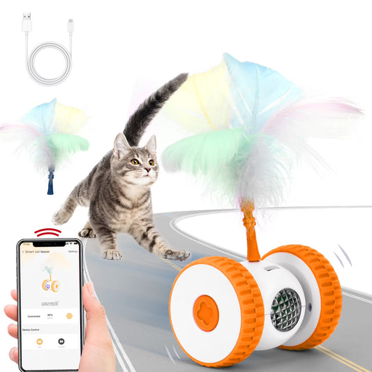 Remote Control Cat Toy, Hunting Mouse Hands-Free Play