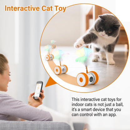 Remote Control Cat Toy, Hunting Mouse Hands-Free Play