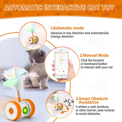 Remote Control Cat Toy, Hunting Mouse Hands-Free Play